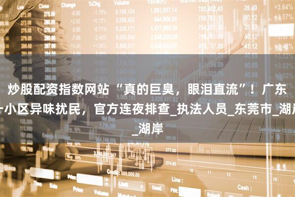 炒股配资指数网站 “真的巨臭，眼泪直流”！广东一小区异味扰民，官方连夜排查_执法人员_东莞市_湖岸